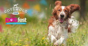 Dog running in field